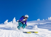 开云网页版-一场战术革命的胜利！比利时完胜荷兰，归化神将阿诺德化身比赛主宰